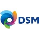 DSM Engineering Plastics global…