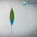 DSM launched a new, bio-based