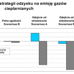 Wpływ różnych strategii odzysku