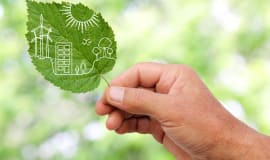 DSM, Sabic and UPM Biofuels to create bio-based Dyneema