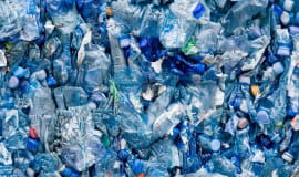 COVID - 19: Is the future more plastic?