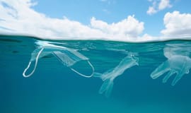 Plastics, pandemic and the green recovery