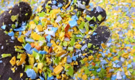 EuPC survey on the effects of COVID-19 on the use of recycled polymers