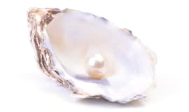 Ampacet introduces PEARL 368 cavitating masterbatch for premium quality white-opaque BOPP film