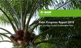 Postępy BASF w realizacji ''Zobowiązania palmowego 2020''