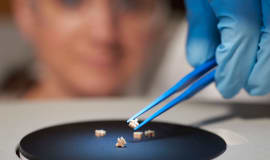 The critical role of validation in micro molding