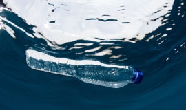 Sabic is a frontrunner in industry to launch recycled ocean bound plastics portfolio