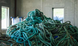 Antibacterial food trays created using fishing industry waste