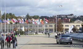 Wyniki finansowe Targów w Brnie zaskoczeniem dla wszystkich