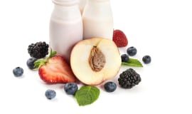Ampacet Safari White PET masterbatch protects dairy products from photodegradation