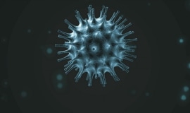 Italian companies working at full capacity, despite coronavirus