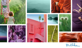 Inspirations from nature help Milliken’s ColorDirection 2021 sing in Harmonic Synergy