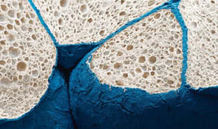 World's first particle foam based on polyethersulfone from BASF