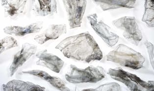 Recykling tacek PET: technologia, skala i wyzwania branży