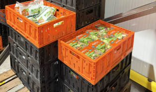 Almeda builds fresh-cut supply chain on reusable packaging