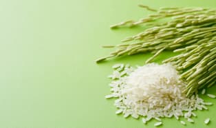 Wosk montanowy a odnawialne alternatywy polimerów