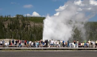 Zużyte opakowania z tworzyw wykorzystywane w parku Yellowstone