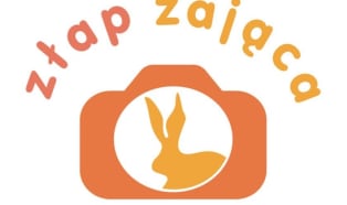 Znów łapią zająca