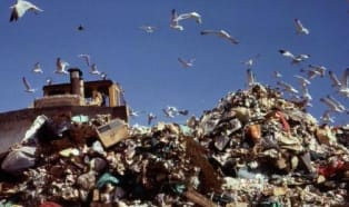 Packaging waste declining rapidly