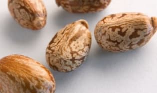 Danisco Releases Life Cycle Assessment for Impact of SOFT-N-SAFE™ Bio-based Plasticizer on Environment