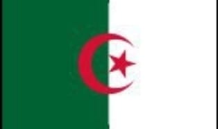 Algeria: double-digit growth of imports of plastics, paper and packaging machinery
