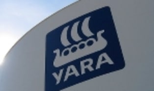 BASF and Yara discuss potential joint ammonia investment