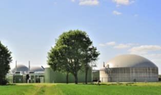 EU develops renewable bio-based economy