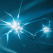 Tomra introduces deep learning add-on for Autosort machines