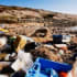 Odpady z tworzyw w Europarlamencie