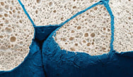 World's first particle foam