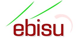 Ebisu International Business Ltd Sp. z o.o. Oddział w Polsce