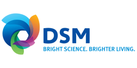 DSM Engineering Plastics