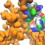Scientists create multifunctional