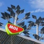 Construction of MOL synthetic