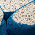 World's first particle foam
