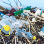 EU deal to ban single-use