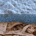 Protective layers made from