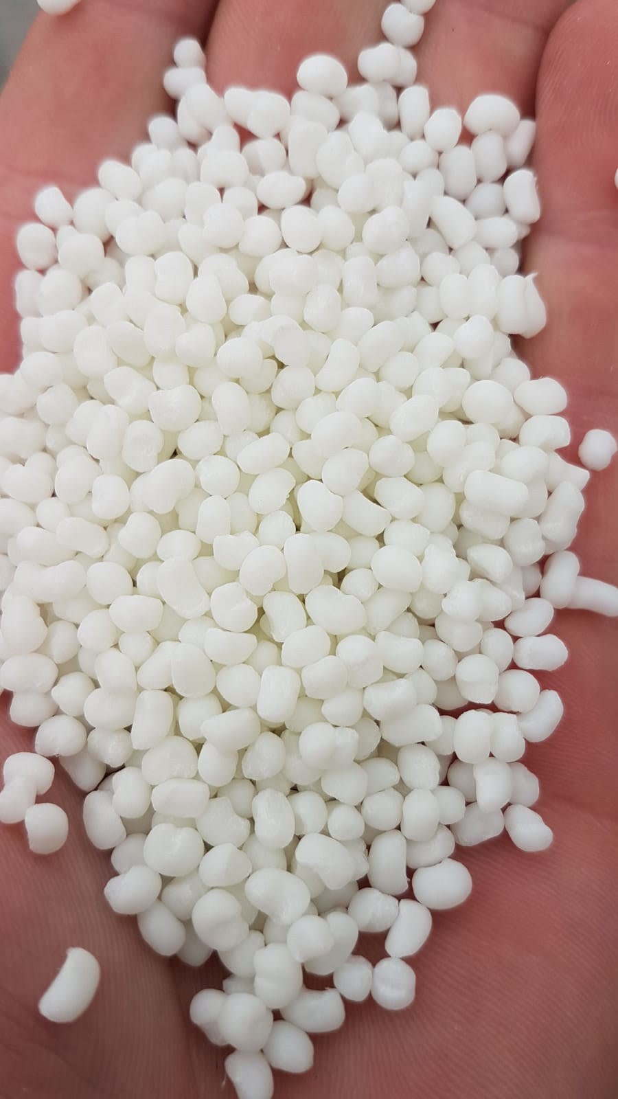 PP T20 natural original (Offer No. 110029) - B2B Offers at Plastech Vortal