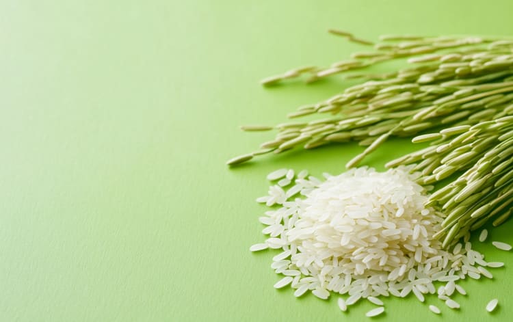 Wosk z otrębów ryżowych, zrównoważona i bardziej zaawansowana alternatywa dla wosku montanowego.