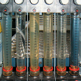 Rozwój mikroorganizmów