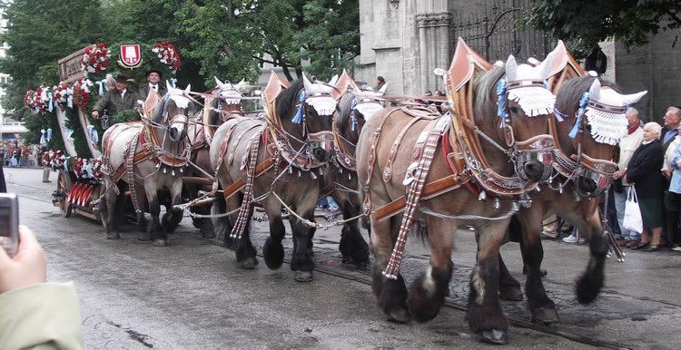 Konie na Oktoberfest