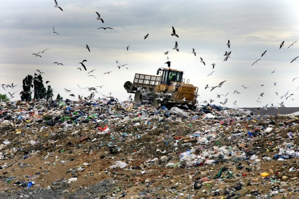 Recykling odpadów tworzyw sztucznych rozwiązaniem ekonomicznym i ekologicznym