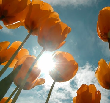 W obronie oksy-biodegradacji