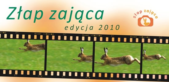 Złap zająca