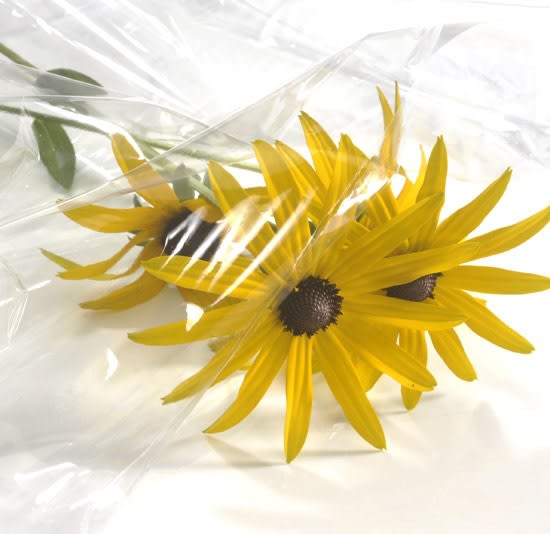 Koncern SABIC wprowadził na polski rynek nowe materiały do produkcji folii.