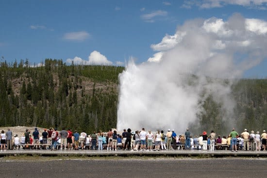 Zużyte opakowania z tworzyw wykorzytywane w parku Yellowstone