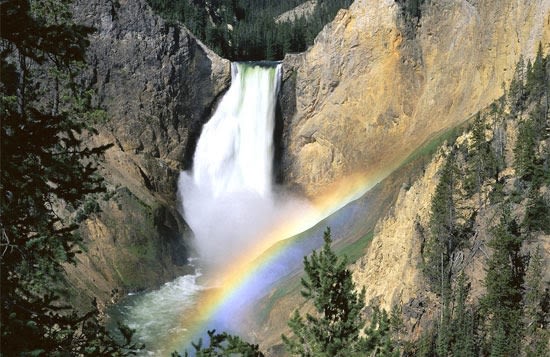 Zużyte opakowania z tworzyw wykorzytywane w parku Yellowstone