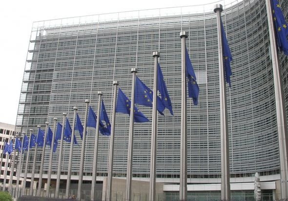 The European Commission launched a public consultation