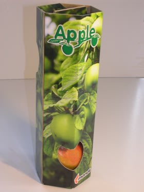 Konkurs PakStar 2012