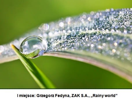 Złap Zająca